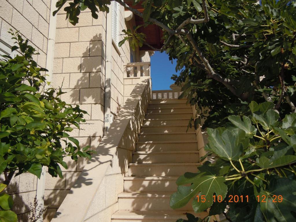 Central Apartment Dubrovnik Room photo