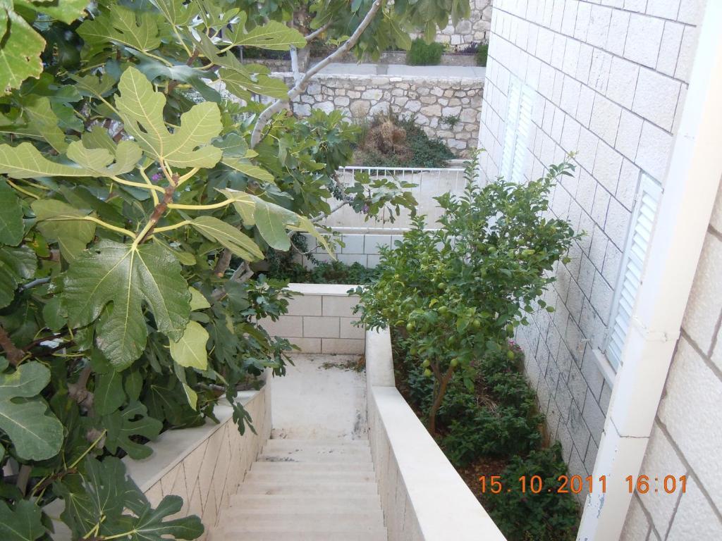 Central Apartment Dubrovnik Room photo