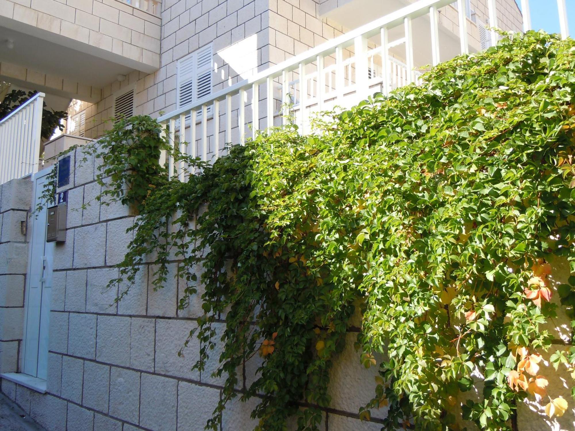 Central Apartment Dubrovnik Exterior photo